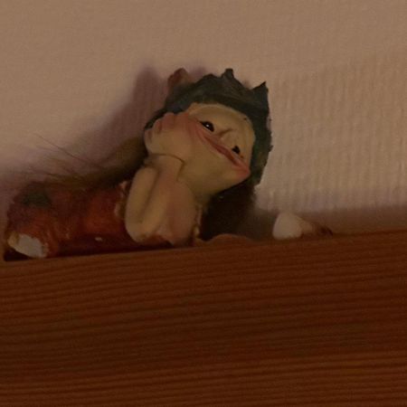 Trollhus - Grosses Familienfreundliches Ferienhaus 보른 외부 사진