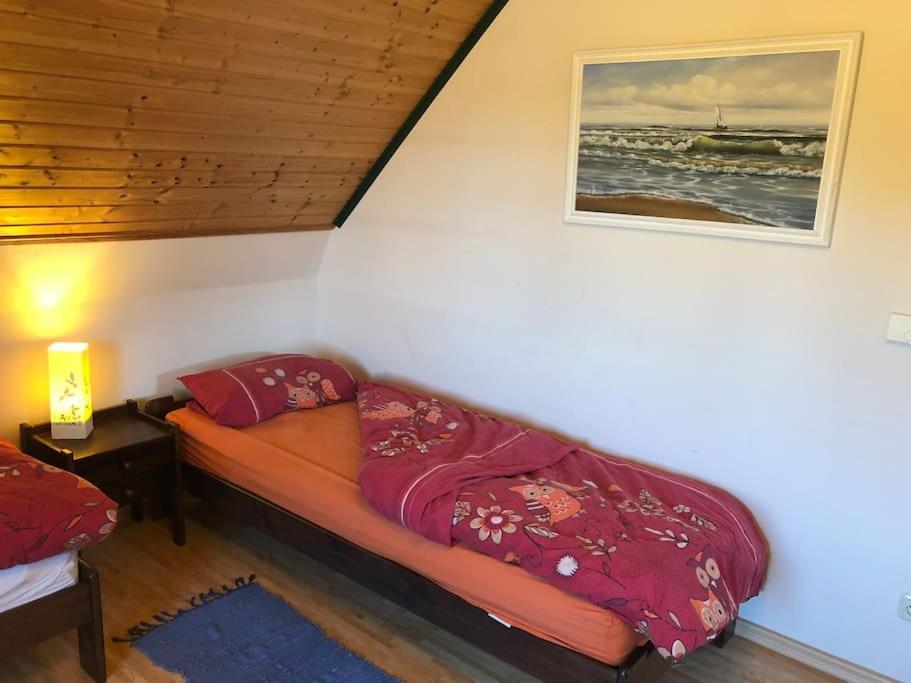 Trollhus - Grosses Familienfreundliches Ferienhaus 보른 외부 사진